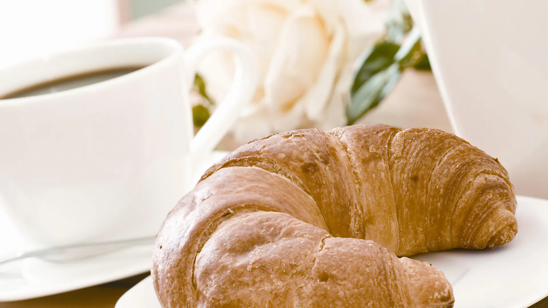Holiday Inn Express Antwerpen City North By Ihg Antwerp